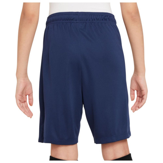 Nike Παιδικό σορτς Paris Saint-Germain Dri-FIT Academy Pro Shorts